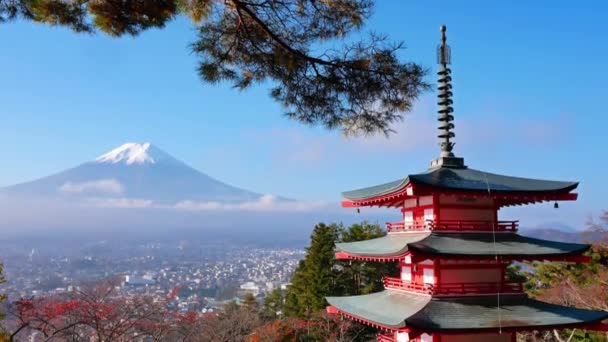 Colorido Paisaje Otoñal Con Montaña Fuji Pagoda Chureito Japón — Vídeo de stock