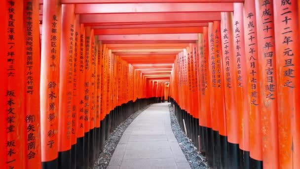 Torii Fama Del Santuario Fushimi Inari Kyoto Japón — Vídeos de Stock