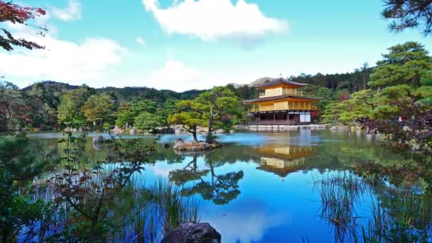Farbenfroher Herbst Mit Kinkakuji Tempel Goldener Pavillon Kyoto Japan — Stockvideo