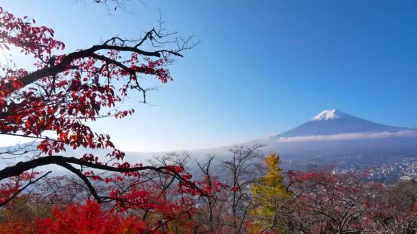 Paisagem Outono Colorido Com Montanha Fuji Japão — Vídeo de Stock