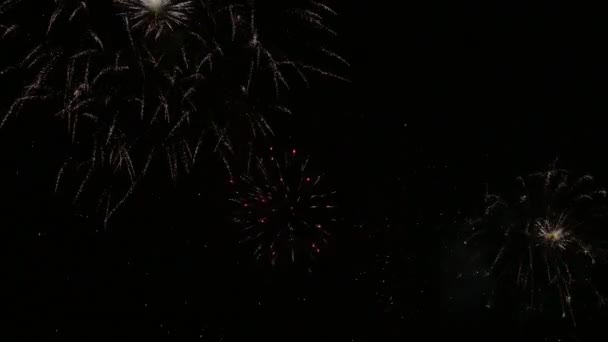 Vidéo Feux Artifice Lumineux Dans Ciel Nocturne Sombre — Video