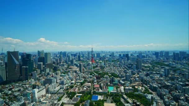 Vista Aérea Cidade Tóquio Japão — Vídeo de Stock