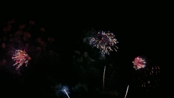 밤하늘에 아름다운 불꽃놀이가 펼쳐지는 — 비디오