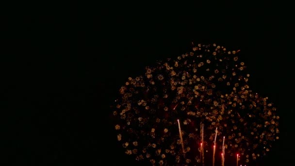 夜空に美しい花火の4Kクリップ — ストック動画