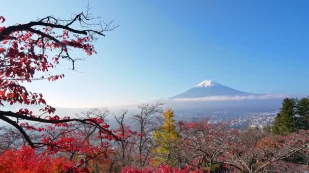 日本富士山和楚里托塔的五彩缤纷的秋天风景 — 图库视频影像