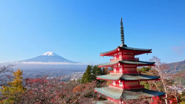 日本富士山和楚里托塔的五彩缤纷的秋天风景 — 图库视频影像