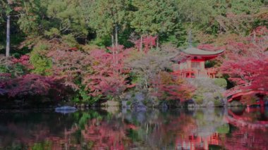 Japonya 'nın Kyoto şehrinde sonbaharda renkli akçaağaç ağaçları olan Daigo-ji tapınağı.