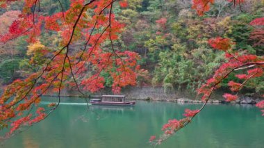 KYOTO, JAPONYA - 15 Kasım 2018: kayıkçı nehirde tekneye biniyor. Sonbahar mevsiminde Arashiyama, Kyoto, Japonya