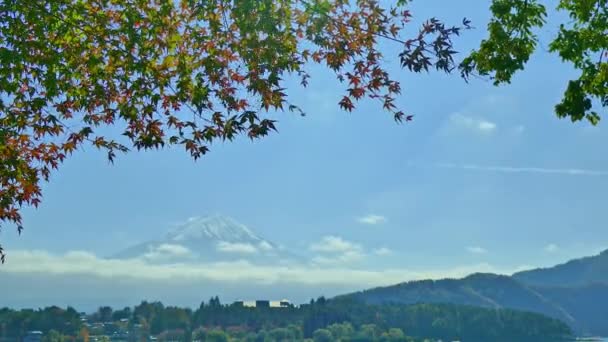 Paisagem Outono Colorido Com Montanha Fuji Japão — Vídeo de Stock