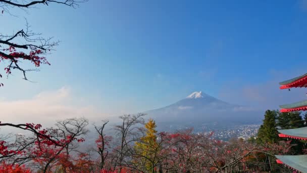 Colorido Paisaje Otoñal Con Montaña Fuji Pagoda Chureito Japón — Vídeo de stock