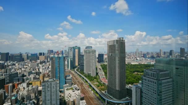 Tokyo Şehrinin Havadan Görünüşü Japonya — Stok video