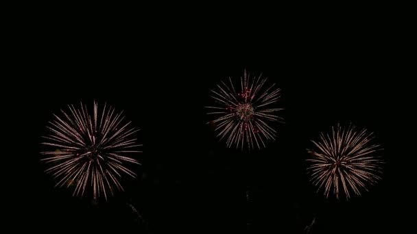 Video Footage Real Fireworks Deep Black Background Sky Fireworks Festival —  Stock Video © MKolesnikov #321224930