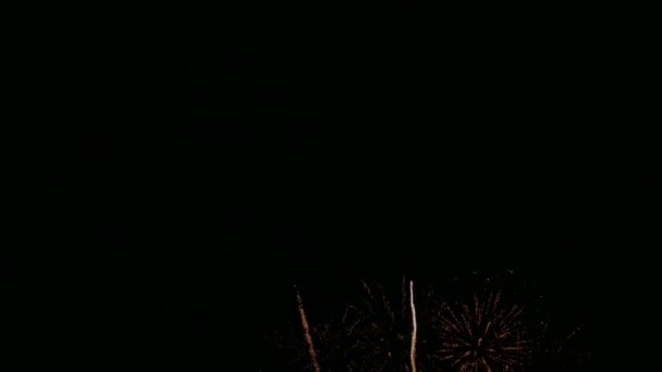 Clipe Bela Exibição Fogos Artifício Céu Noturno — Vídeo de Stock