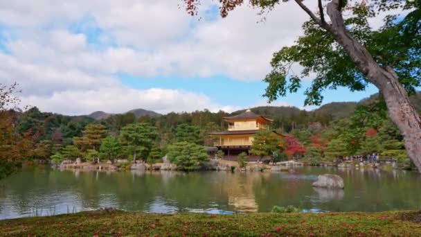 Kolorowa Jesień Świątynią Kinkakuji Złoty Pawilon Kioto Japonia — Wideo stockowe