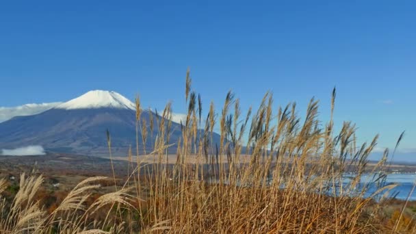 Colorido Paisaje Otoñal Con Montaña Fuji Japón — Vídeo de stock