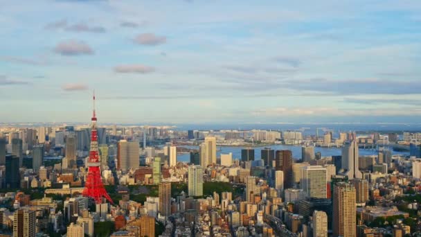 東京都の空中風景 — ストック動画