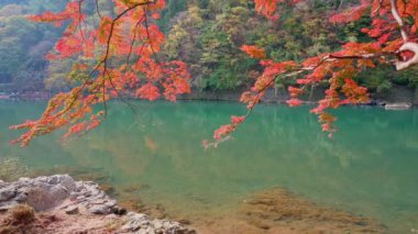 Sonbahar mevsiminde Arashiyama, Kyoto, Japonya
