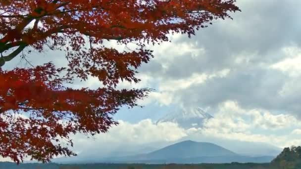 Барвистий Осінній Краєвид Горою Фудзіяма Японії — стокове відео
