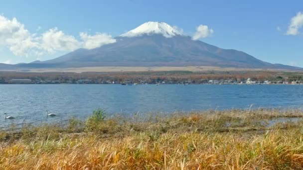 Πολύχρωμο Φθινοπωρινό Τοπίο Βουνό Fuji Στην Ιαπωνία — Αρχείο Βίντεο