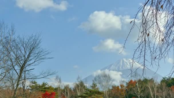 Paesaggio Autunnale Colorato Con Montagna Fuji Giappone — Video Stock