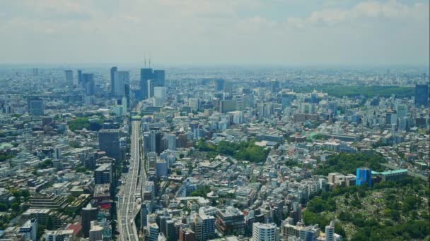Vista Aérea Ciudad Tokio Japón — Vídeo de stock
