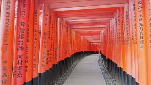 Torii Fama Del Santuario Fushimi Inari Kyoto Japón — Vídeo de stock