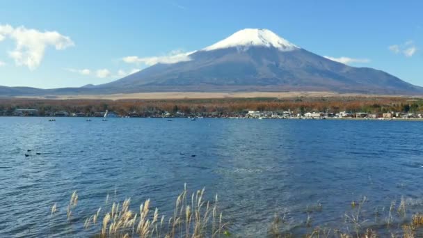 Japonya Daki Fuji Dağı Ile Renkli Sonbahar Manzarası — Stok video