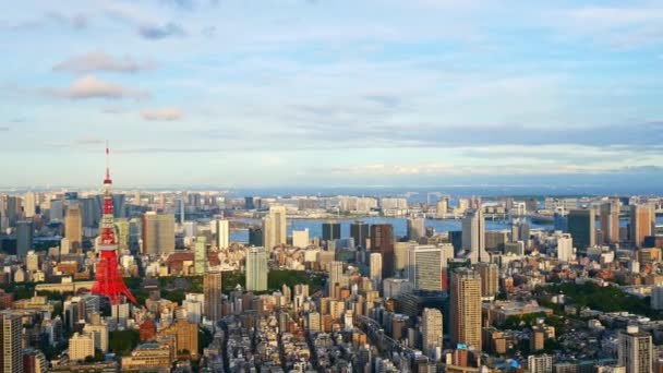 Luchtfoto Van Tokio Stad Japan — Stockvideo