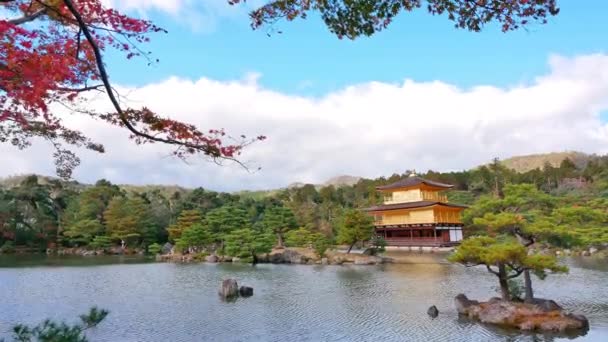 Barevný Podzim Chrámem Kinkakuji Zlatý Pavilon Kjótu Japonsko — Stock video