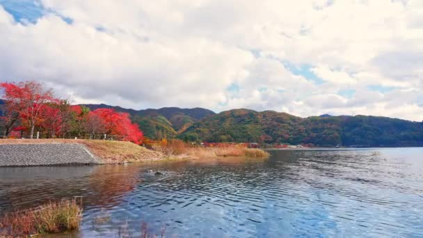 Colorido Otoño Con Montaña Fuji Japón Alrededor Del Lago Kawaguchiko — Vídeos de Stock