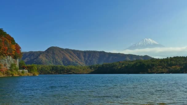 Autunno Colorato Con Montagna Fuji Giappone Intorno Lago Kawaguchiko — Video Stock