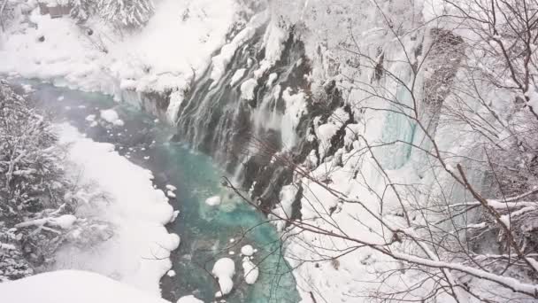 오타루 홋카이도 운하의 아름다운 겨울날 — 비디오