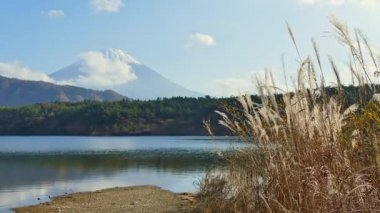 Japonya 'daki Fuji Dağı ile renkli sonbahar manzarası