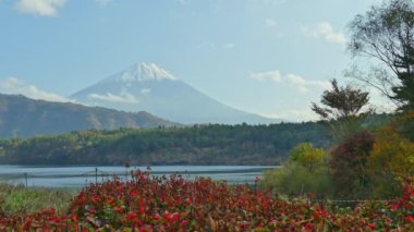 Japonya 'daki Fuji Dağı ile renkli sonbahar manzarası