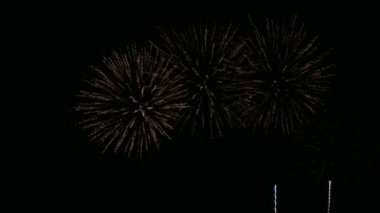 Gece gökyüzünde güzel bir havai fişek gösterisi 4K klibi