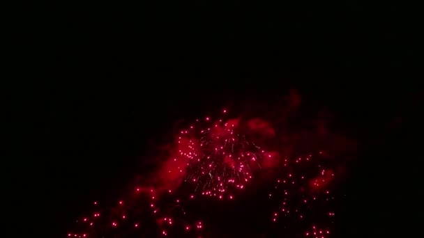 Clipe Bela Exibição Fogos Artifício Céu Noturno — Vídeo de Stock