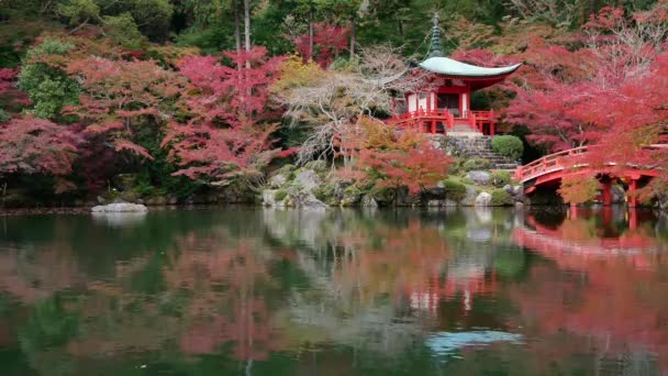 Templo Daigo Com Plátanos Coloridos Outono Kyoto Japão — Vídeo de Stock