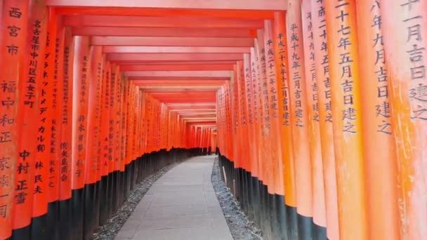 Fushimi Inari Shrine Roem Torii Kyoto Japan — Stockvideo