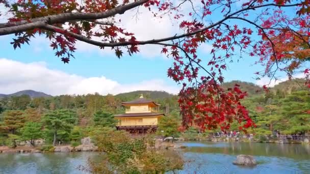 Outono Colorido Com Templo Kinkakuji Pavilhão Dourado Kyoto Japão — Vídeo de Stock