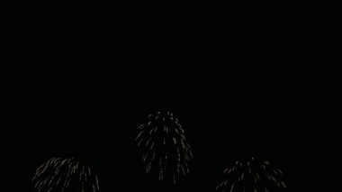 Gece gökyüzünde güzel bir havai fişek gösterisi 4K klibi