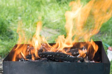 Doğa yangın Barbekü Izgara