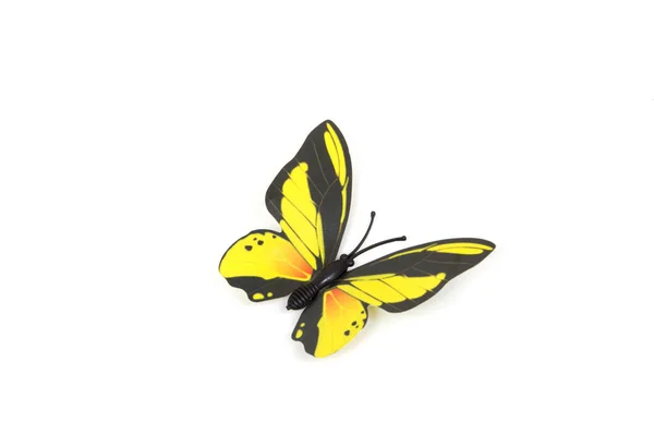 Бабочки Изолированы Белом Мягкой Тени Каждым — стоковое фото