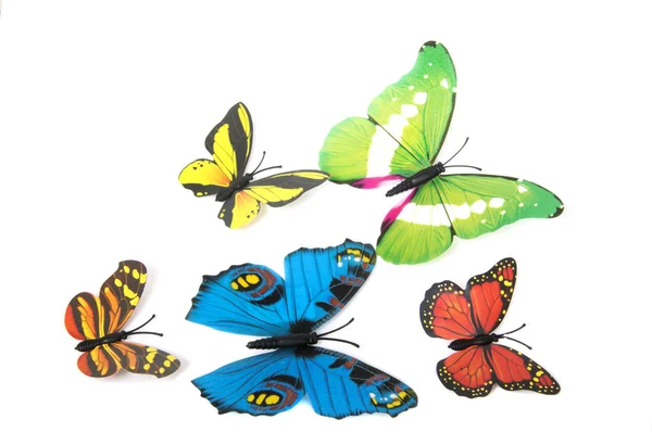 Метелики Ізольовані Білому Якою Тіні Під Кожним — стокове фото