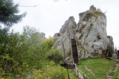 Dağlar ve ilkbaharda çayırlar ile Karpatlar panoramik manzara