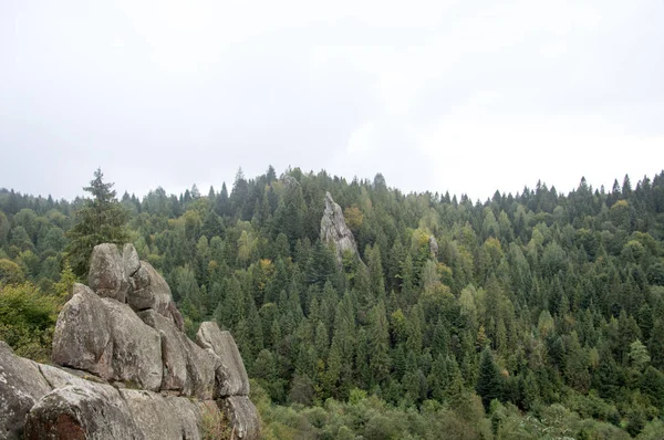 Панорамний Краєвид Карпатам Гори Луки Навесні — стокове фото