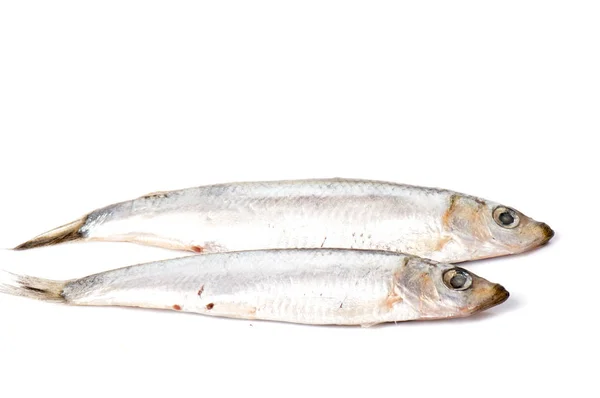Στεγνώνετε Ψάρι Που Απομονώνονται Λευκό Φόντο Οριζόντια Φωτογραφία — Φωτογραφία Αρχείου