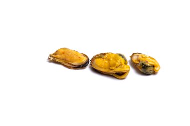 yakın çekim midye deniz ürünleri, samui Tayland haşlanmış.