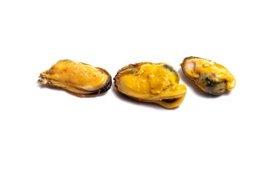 yakın çekim midye deniz ürünleri, samui Tayland haşlanmış.