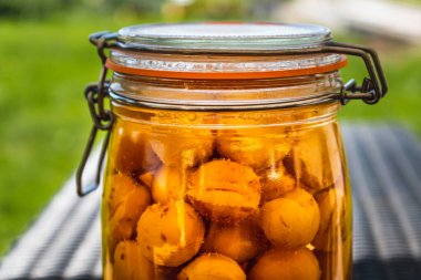 Sterilize edilmiş mirabelle erikleri, kış için ev yapımı meyve şurubu, besinleri korur.