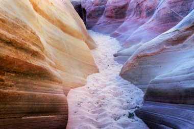 Bir yuvası Kanyon, doğal Vadisi, yangın devlet parkı Las Vegas, Nevada yakınındaki
